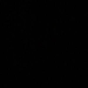 Meet your Posher, Cameron